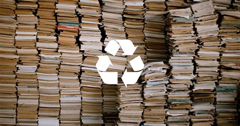 Can Old Books Be Recycled? A Multifaceted Discussion