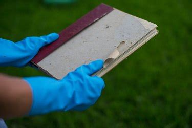 How to Clean Mold Off Books: A Comprehensive Guide with Insightful Views