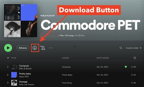 How to Download Music from Spotify to Computer: A Comprehensive Guide with Insightful Views